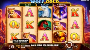 Wolf of Gold Pragmatic Play Pokies Games Australia